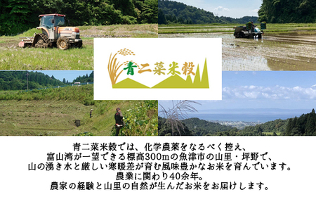 山の湧き水 寒暖差 山里 山里の米･坪野米 R7年産 てんたかく 10kg（5kg×2）　※北海道・沖縄・離島への配送不可