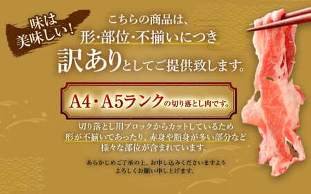【数量限定 訳あり】【A4・A5】 博多和牛 切り落とし 約300g×2パック 合計約600g 牛肉 和牛 肉 お肉 国産 冷凍 岡垣町