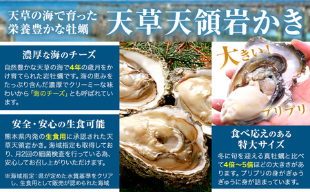 岩牡蠣 5kg かき 福島水産 牡蠣 生食