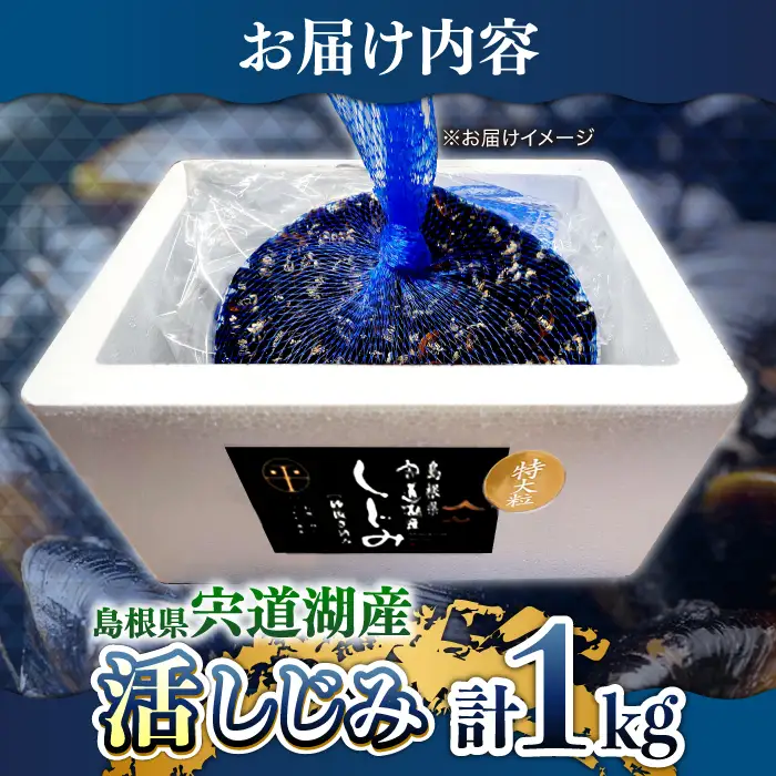 しじみ 宍道湖産活 大和しじみ 特大粒1kg(砂はき済み)  [ALBZ022] しじみ 