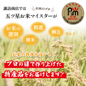 五ツ星お米マイスター 厳選 雫石町産 あきたこまち 精米 10kg 1袋 【諏訪商店】 米 こめ コメ 白米 ご飯 ごはん ライス グルメ 食料 五つ星 5つ星 5ツ星 お米 マイスター 10キロ 国産 岩手県産 産地直送 プレゼント お取り寄せ 仕送り 人気 おすすめ