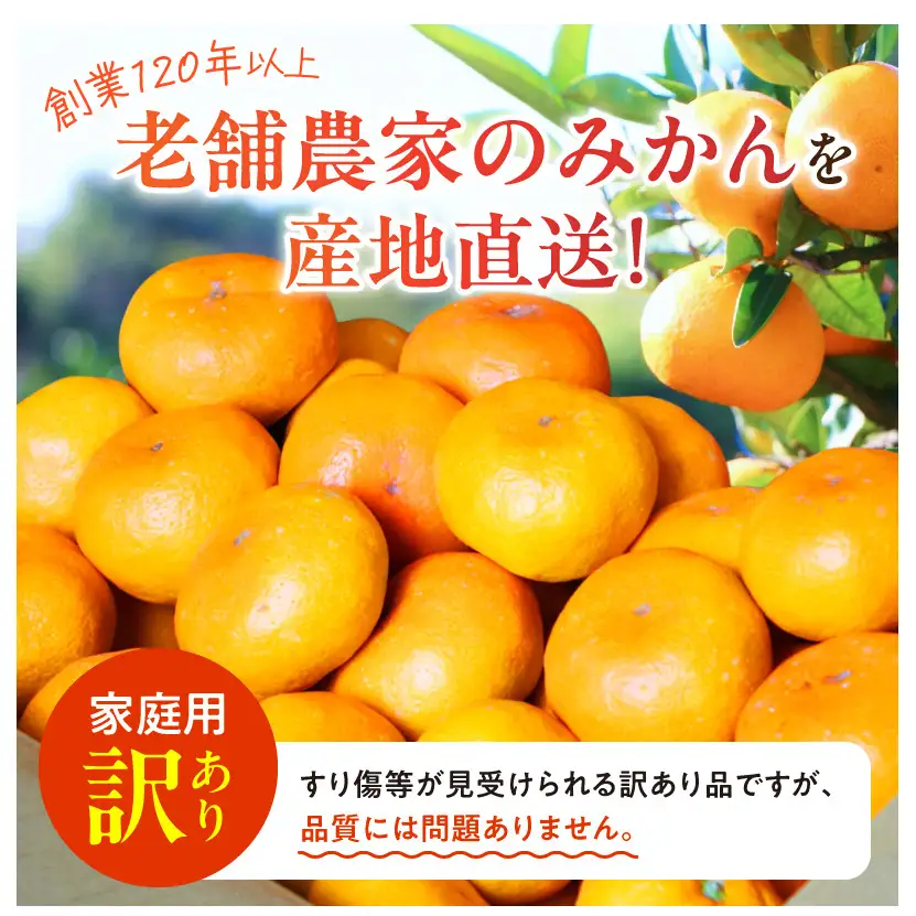 《2026年11月下旬頃～2027年1月下旬頃に順次発送予定》【2026年先行予約】【ご家庭用訳アリ】紀州有田産濃厚甘熟温州みかん 約2kg_G7325