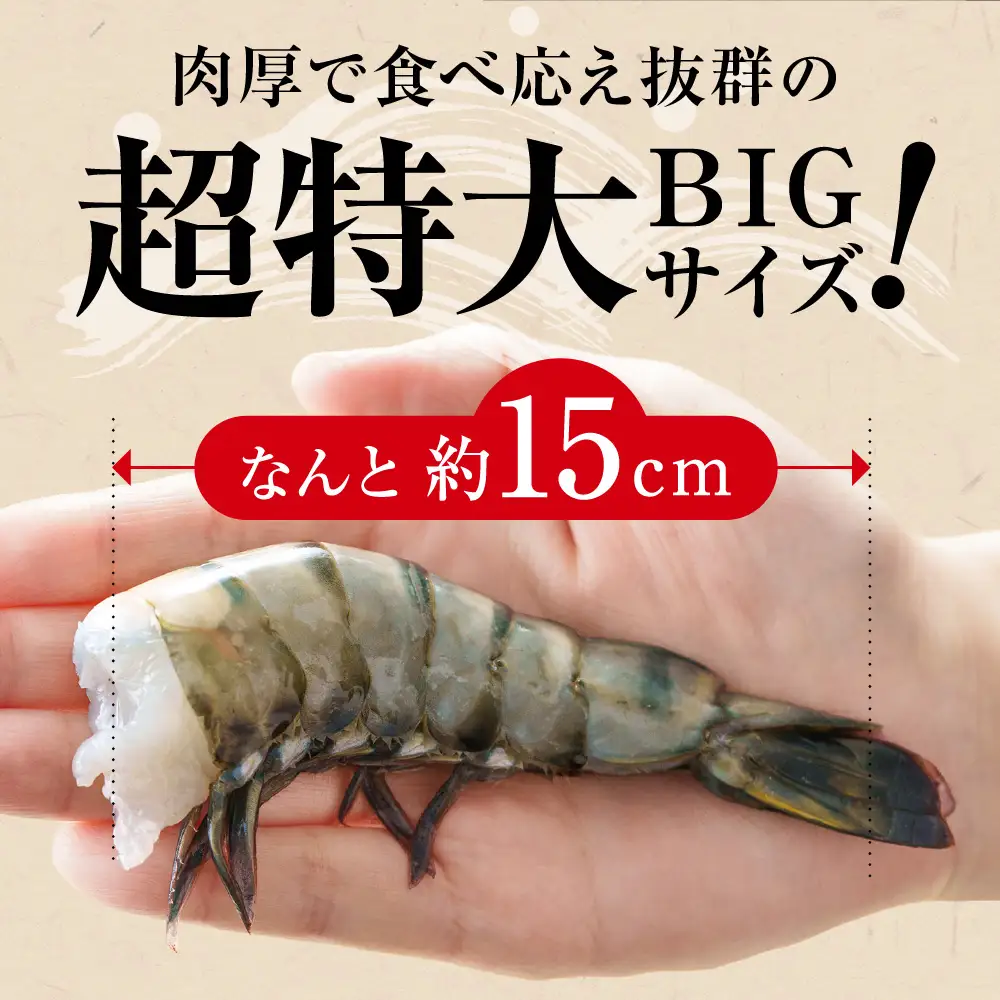【12回定期便】特大 ブラックタイガー 無頭えび 570g前後（15尾）×12回