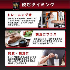 R-4　ファインプロ ホエイプロテイン100　チョコ味 2個セット