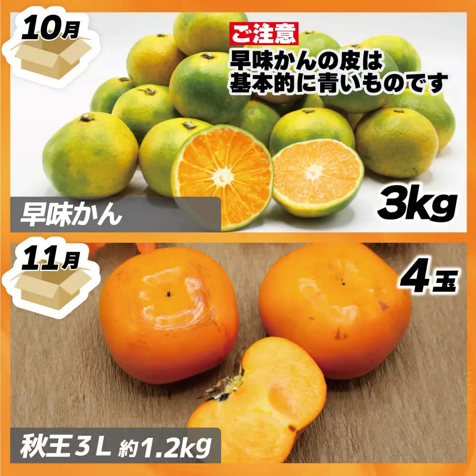 【定期便】福岡県ブランドフルーツ定期便（年４回） ブランド いちご いちじく みかん 柿 大人気 NO1 限定品 高級 フルーツ 果物 くだもの 特別 冷蔵 プレゼント 九州 福岡 宮若市 ふるさと納税 おすすめ 送料無料 M771