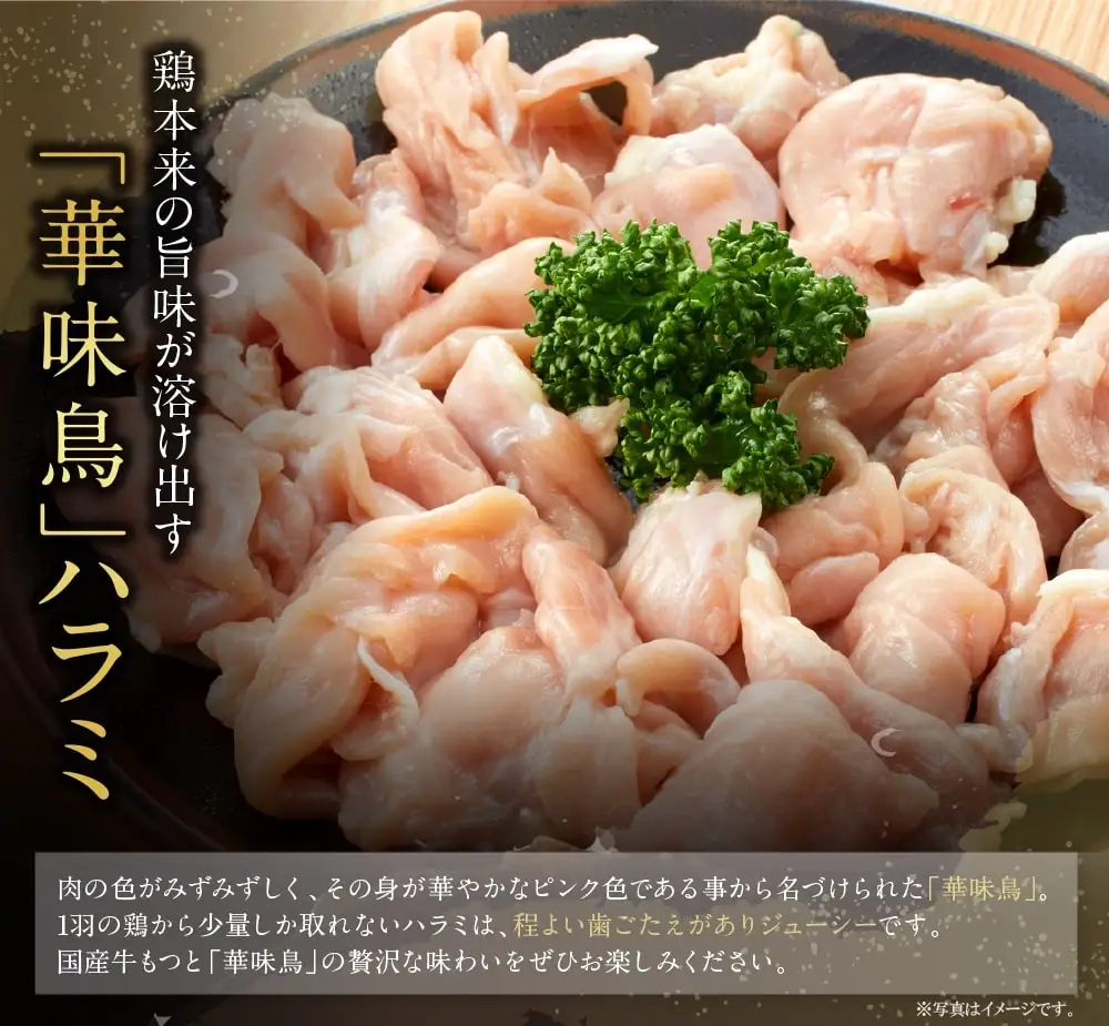 Z10-55 博多華味鳥 もつ鍋セット 醤油味(3～4人前) もつ鍋
