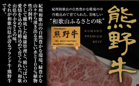 熊野牛 加工品バラエティセット 計970g