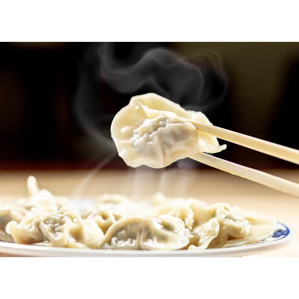 餃子・水餃子・VEGISOY SUIGYOZA 50個【冷凍品】