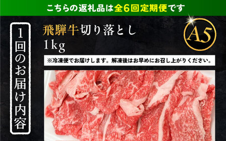【6回定期便】 飛騨牛 切り落とし肉 A5ランク 500g×2パック (1kg) / 恵那市 / 岩島屋 [AUAJ034]