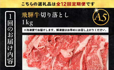 【12回定期便】 飛騨牛 切り落とし肉 A5ランク 500g×2パック (1kg) / 恵那市 / 岩島屋 [AUAJ035]