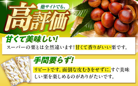 【先行予約】冷凍むき栗「日本栗」 計500g（250g×2P） / 恵那市 / えな笠置山栗園 [AUAV005]