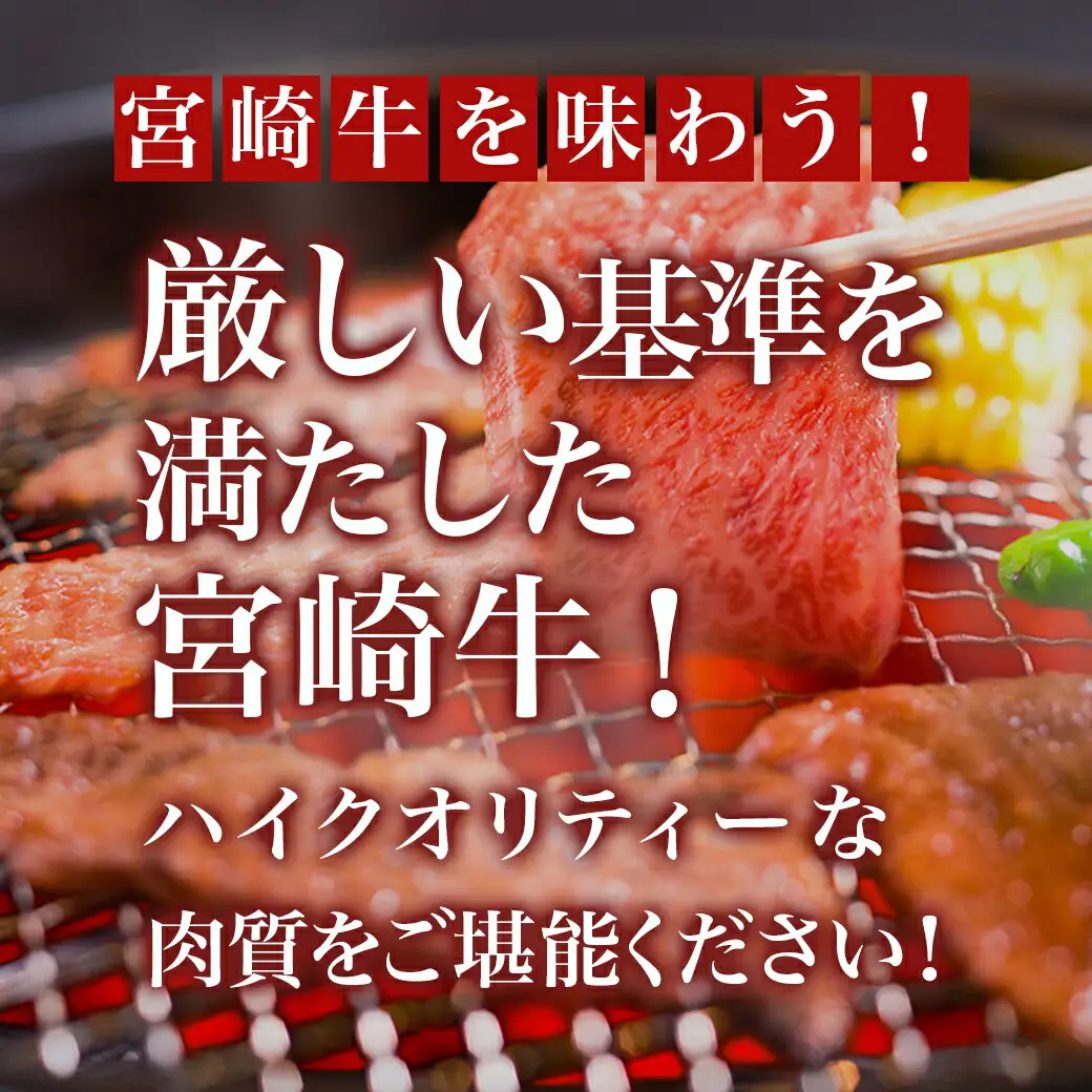 宮崎牛ミックスカルビ焼肉500g×2≪みやこんじょ快速便≫〔AC-8916-R〕_(都城市) 宮崎県産宮崎牛 ミックスカルビ焼肉 ウデ/バラ/肩ロース/モモ いずれか２部位 冷凍配送
