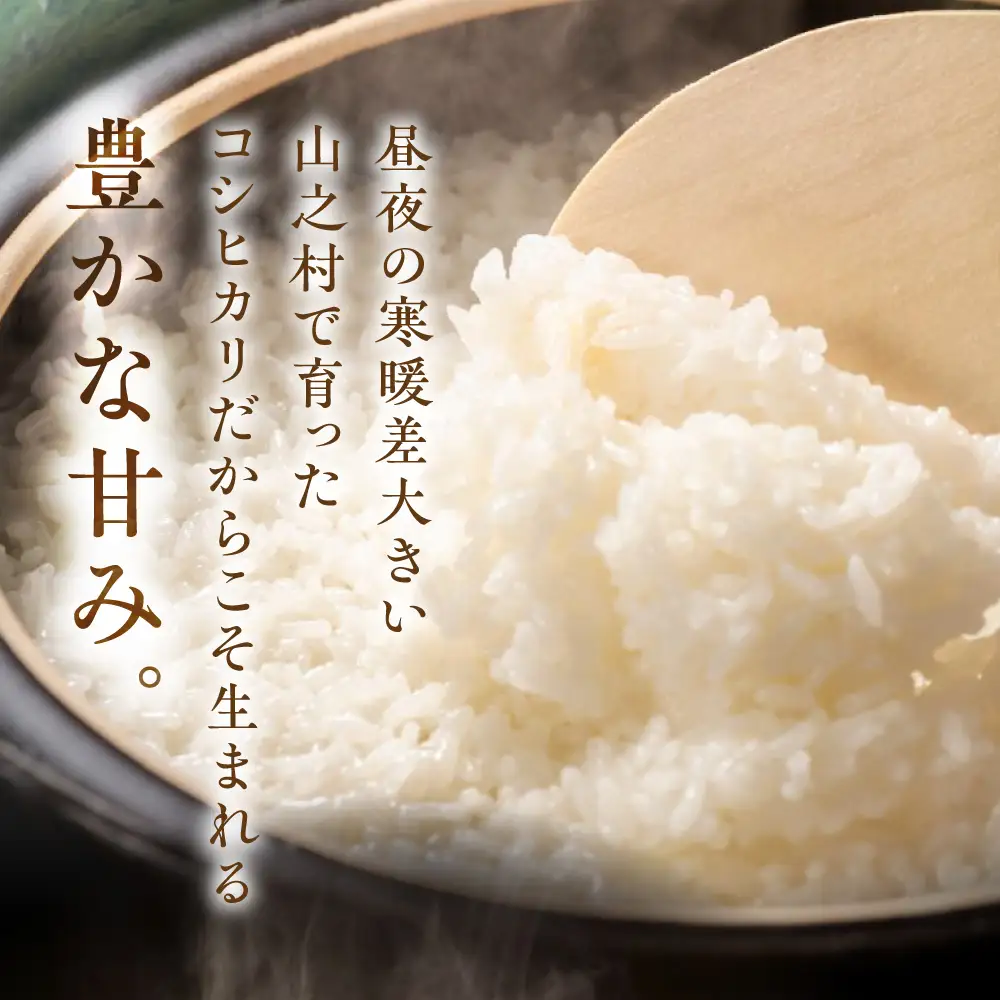 お試し 600g 飛騨産 コシヒカリ / 米 お米 約4合 清水農園 [DU010-26]
