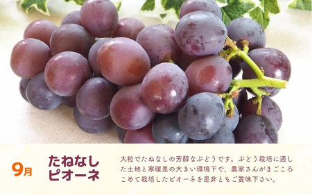 【定期便全3回】産直・和歌山フルーツ定期便（桃・ピオーネ・有田みかん）【TM92239-tkb413】
