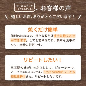 SC0502　平田牧場　日本の米育ち三元豚ロールステーキ　10個ギフト