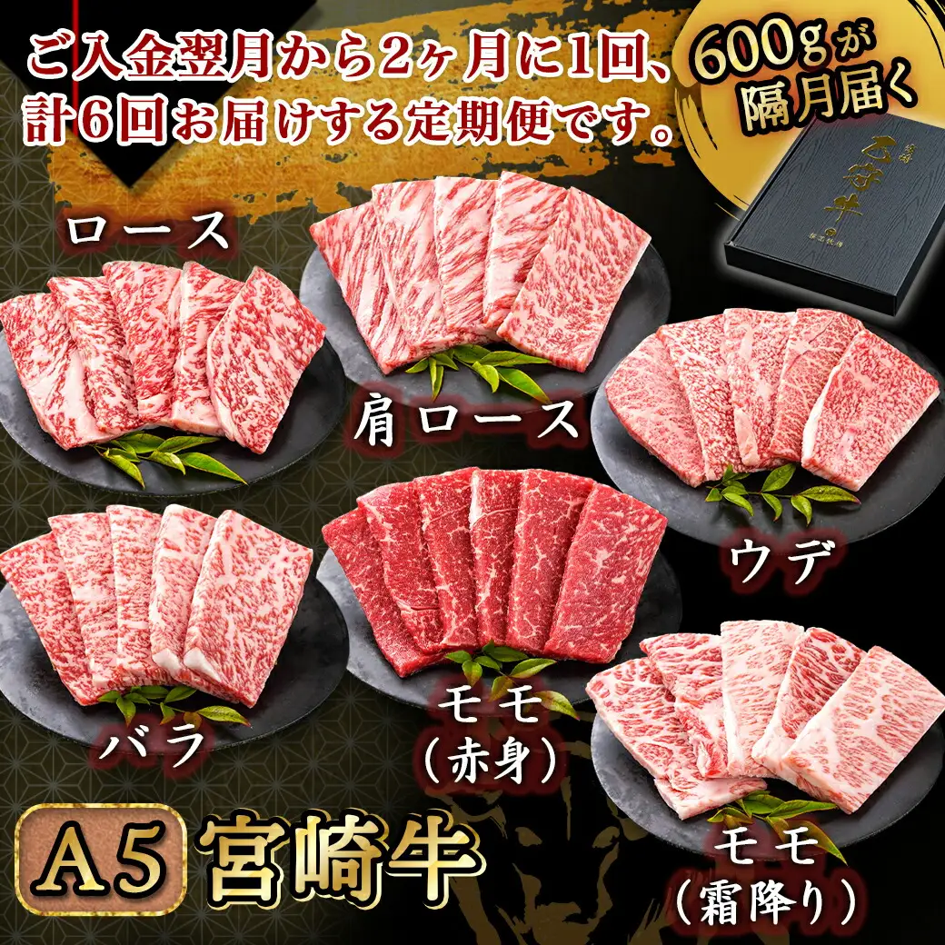 ≪限定200セット≫隔月6回お届け!【宮崎牛A5】焼肉6種盛り(乙守牛）〔T192-6-6501〕_(都城市) 都城産宮崎牛 A5 焼肉6種盛 各100g ロース/肩ロース/ウデ/バラ/モモ(赤身)/モモ(霜降り) 隔月6回お届け
