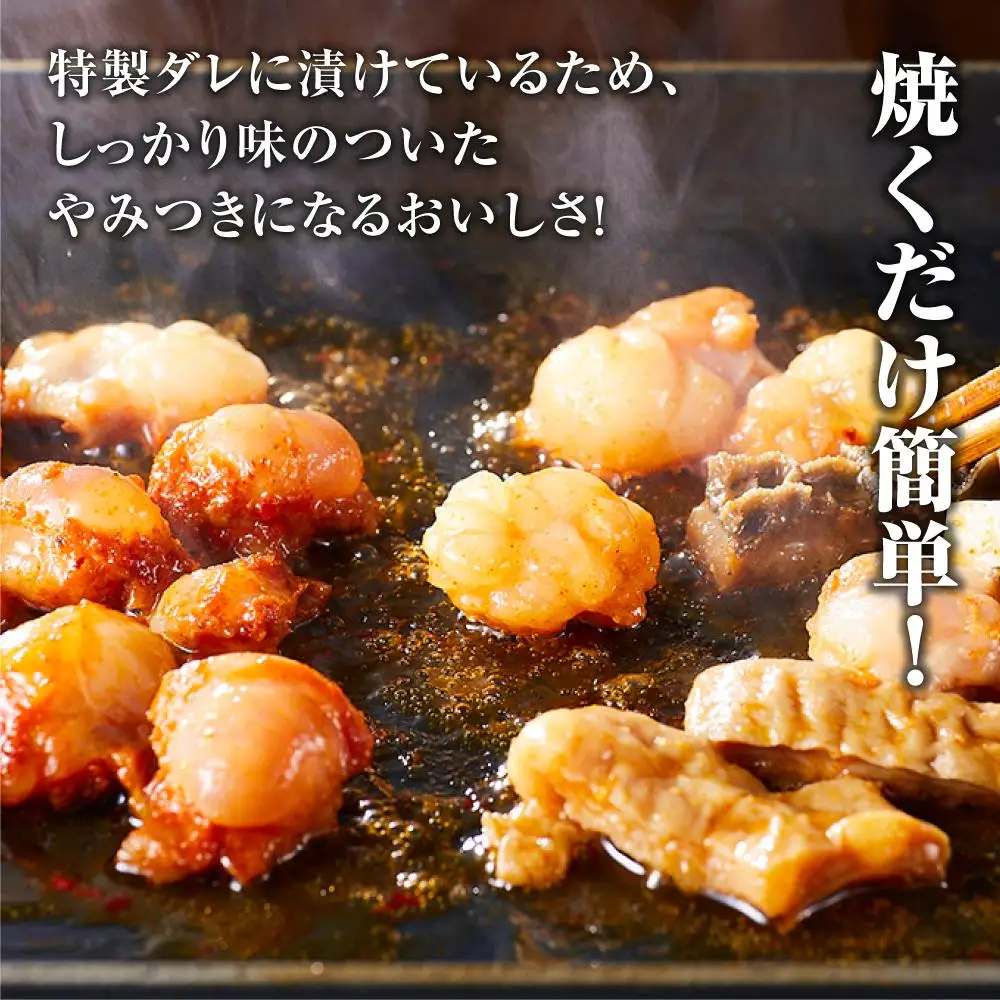 やみつきホルモンセット 400g