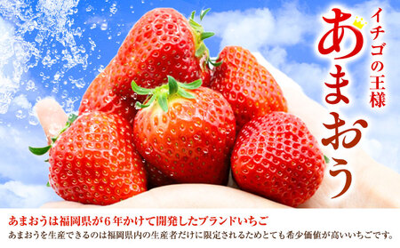 福岡県産あまおうギフト箱 & ふくや味の明太子 540g 南国フルーツ株式会社《12月上旬-3月末頃出荷》福岡県 小竹町 あまおう いちご めんたいこ 明太子 セット 送料無料【配送不可地域あり】