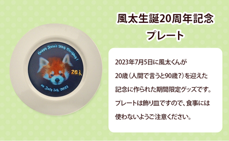 グッズセット 風太20周年記念 プレート ボールペン グッズセット【プレート・ボールペン】
