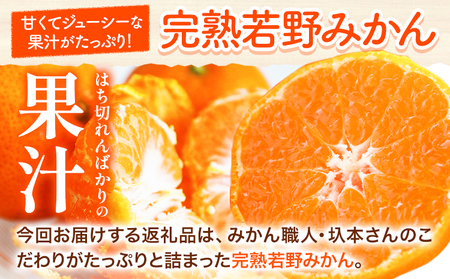 みかん 訳あり 若野みかん10kg