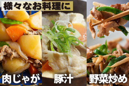 【定期便・全3回】九州産 豚肉満足 切り落とし 定期便（豚肉 切り落とし 小間切れ 定期便）