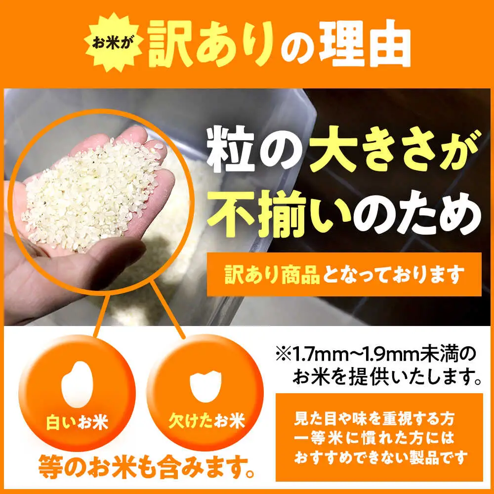 米【令和7年産】【訳あり】【数量限定】 家計応援米 10kg×1袋 / 小浜市 / 若狭の恵 [BFAG027]