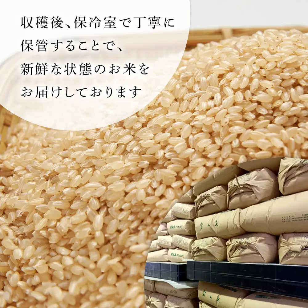 【令和8年産】みどりふぁーむのコシヒカリ 玄米 20kg