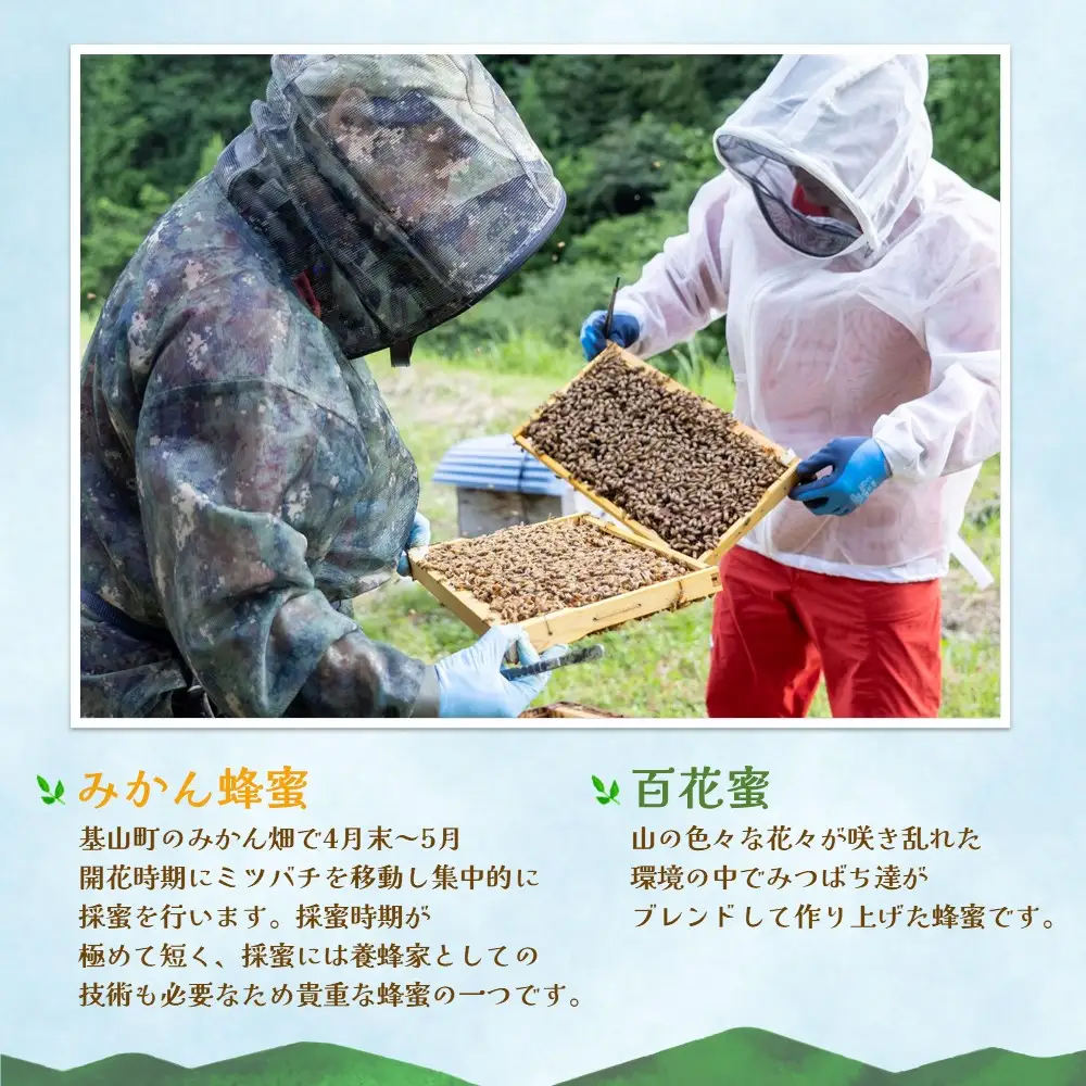 【3か月定期便】みよしのハチミツ2本セット(百花蜜・みかん) 220g×2本(計220g×6本) K063423