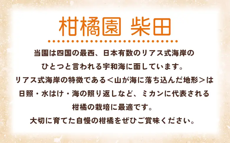 【先行予約】＜せとか 家庭用 約10kg＞ 訳あり わけあり 自宅用 果物 フルーツ みかん ミカン 蜜柑 オレンジ 柑橘 セトカ 選べる ジューシー サイズ不揃い 食べて応援 特産品 柑橘園柴田 愛媛県 西予市【常温】『2027年2月下旬～3月中旬迄に順次出荷予定』MKE0009
