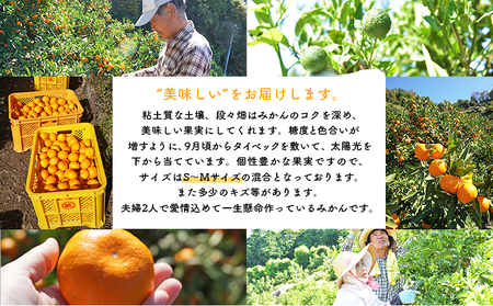 先行予約 ＜浅井果樹園 温州みかん 約3kg（早生）＞ 柑橘 果物 フルーツ ミカン 蜜柑 オレンジ うんしゅうみかん ウンシュウミカン 選べる ワセ 食べて応援 特産品 西宇和 愛媛県 西予市 【常温】『2025年11月中旬～12月上旬迄に順次出荷予定』MAK0009