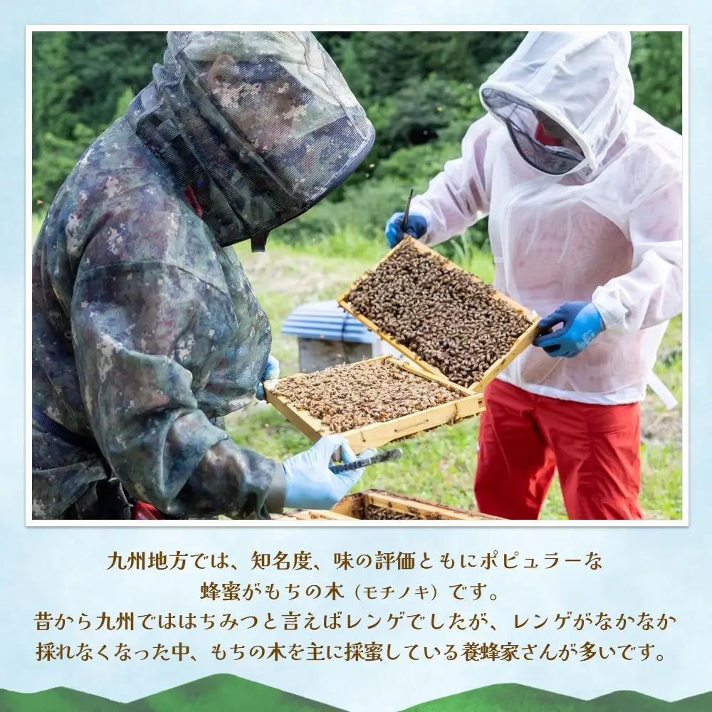 【3か月定期便】みよしのハチミツ(もちの木) 220g×1本(計220g×3本) K063421