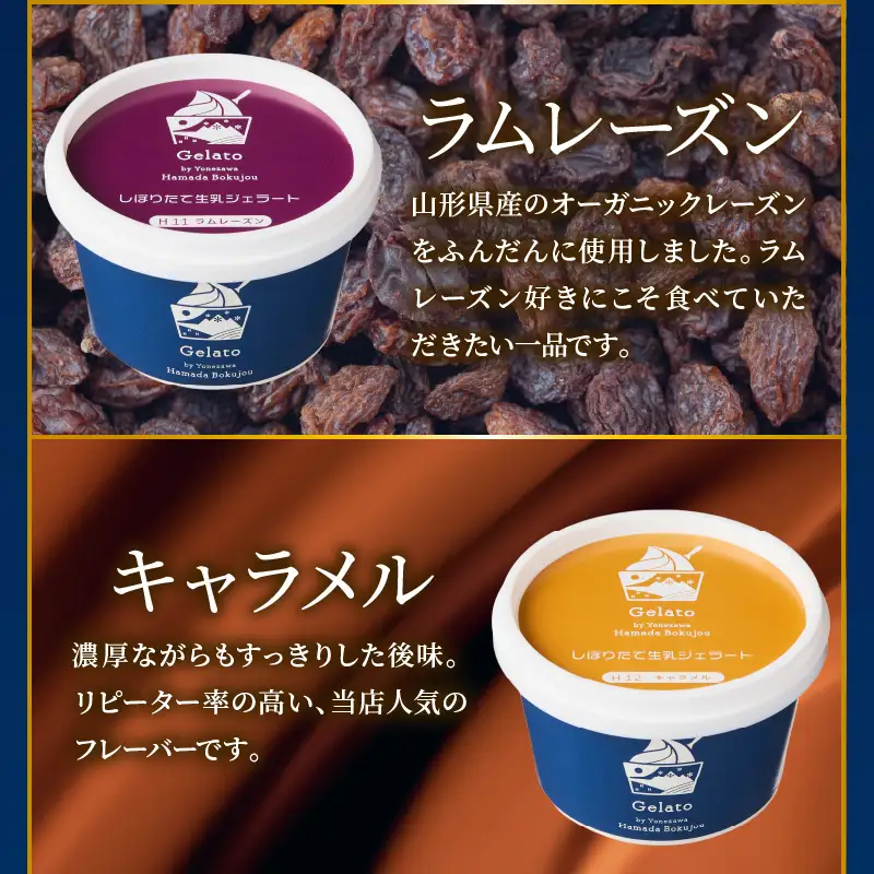 生乳ジェラートバラエティセット　12個　ミルク ラムレーズン キャラメル 抹茶 ブルーベリー