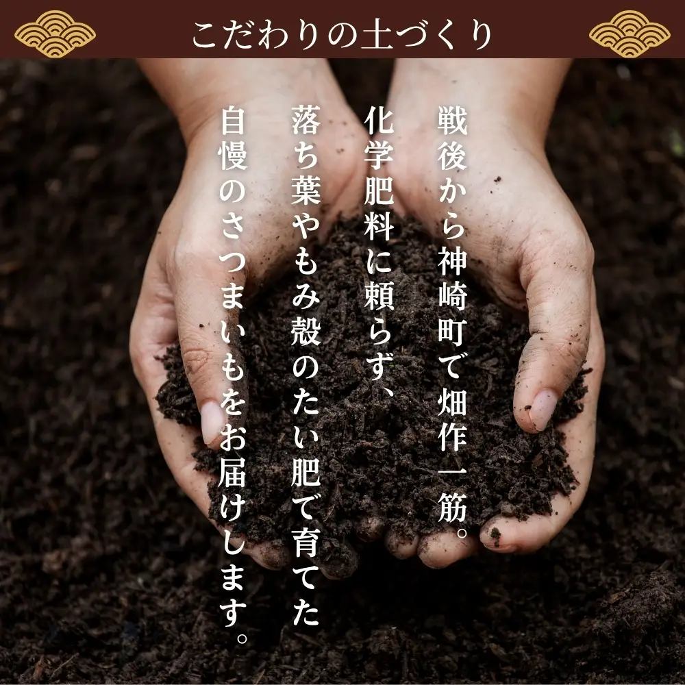 神崎町産 べにはるか さつまいも 10kg 【訳あり 無選別】(3月～12月受付分は翌年1月中旬～3月中旬発送)｜さつま芋 焼き芋 焼きいも イモ 芋 紅はるか 訳アリ しっとり 濃厚 蜜 スイートポテト にも ファームおせげん[016-a010-2026]