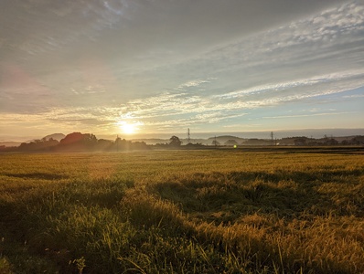 2025年収穫分、予約開始！「信濃町産 こしひかり20kg」令和7年産 名水弘法清水が湧き出る黒姫山麓で育った自慢のお米 【長野県信濃町ふるさと納税】