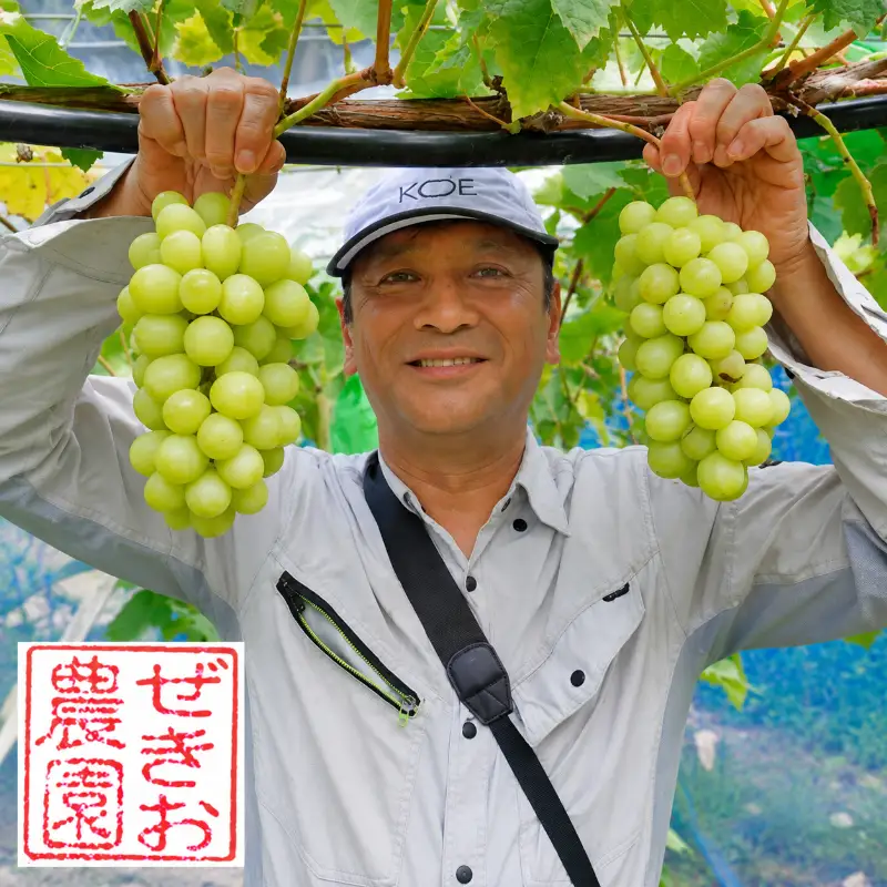シャインマスカット ぜきお農園 岡山県産 シャインマスカット【2kg 3〜5房】【先行予約】