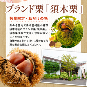 洋菓子 【秋頃発送】 栗 の贅沢 テリーヌ (8個入り)  洋菓子