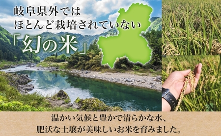 はつしも 精米 低農薬 岐阜県産 はつしも【10kg】【先行予約】