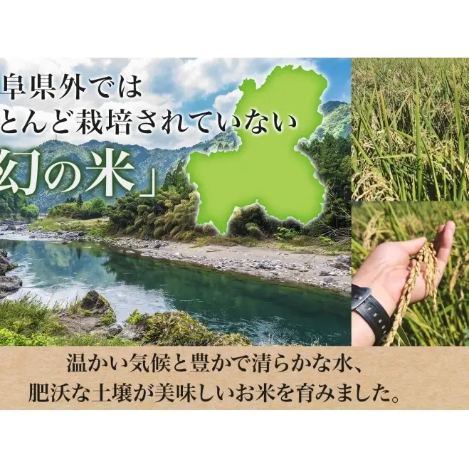 はつしも 精米 低農薬 岐阜県産 はつしも【20kg】【先行予約】