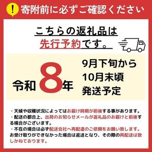 【2026年先行予約】 長野県産 南水 約5kg （10～14玉）【9月下旬～10月末にかけて順次発送予定】