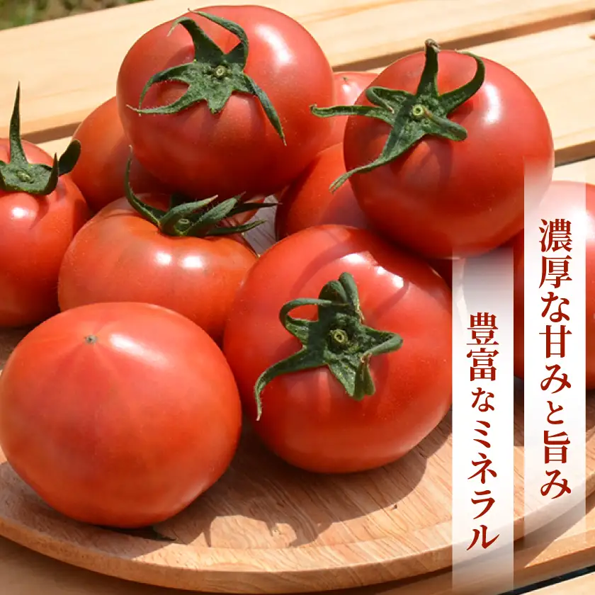 【事前受付】フルーツトマト(深層水トマト)2キロ【濃厚な甘みと旨み】【配送不可地域：離島】【1565698】