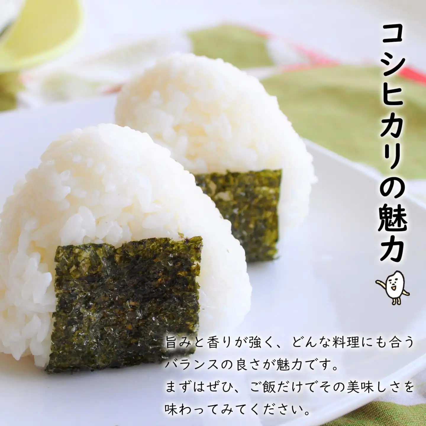 米 無洗米 コシヒカリ 5kg 新米 令和8年産 米 S269