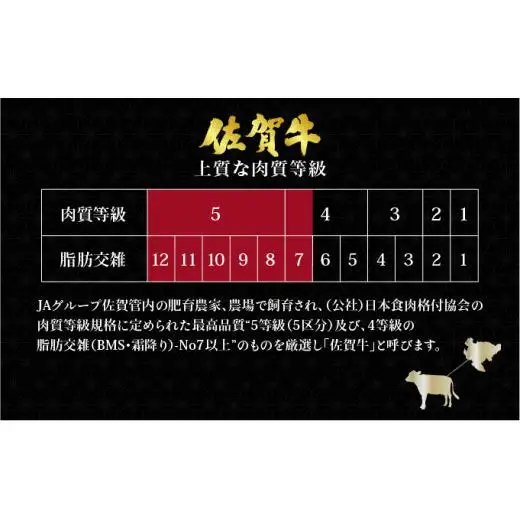 佐賀牛シャトーブリアン400g(200g×2枚)