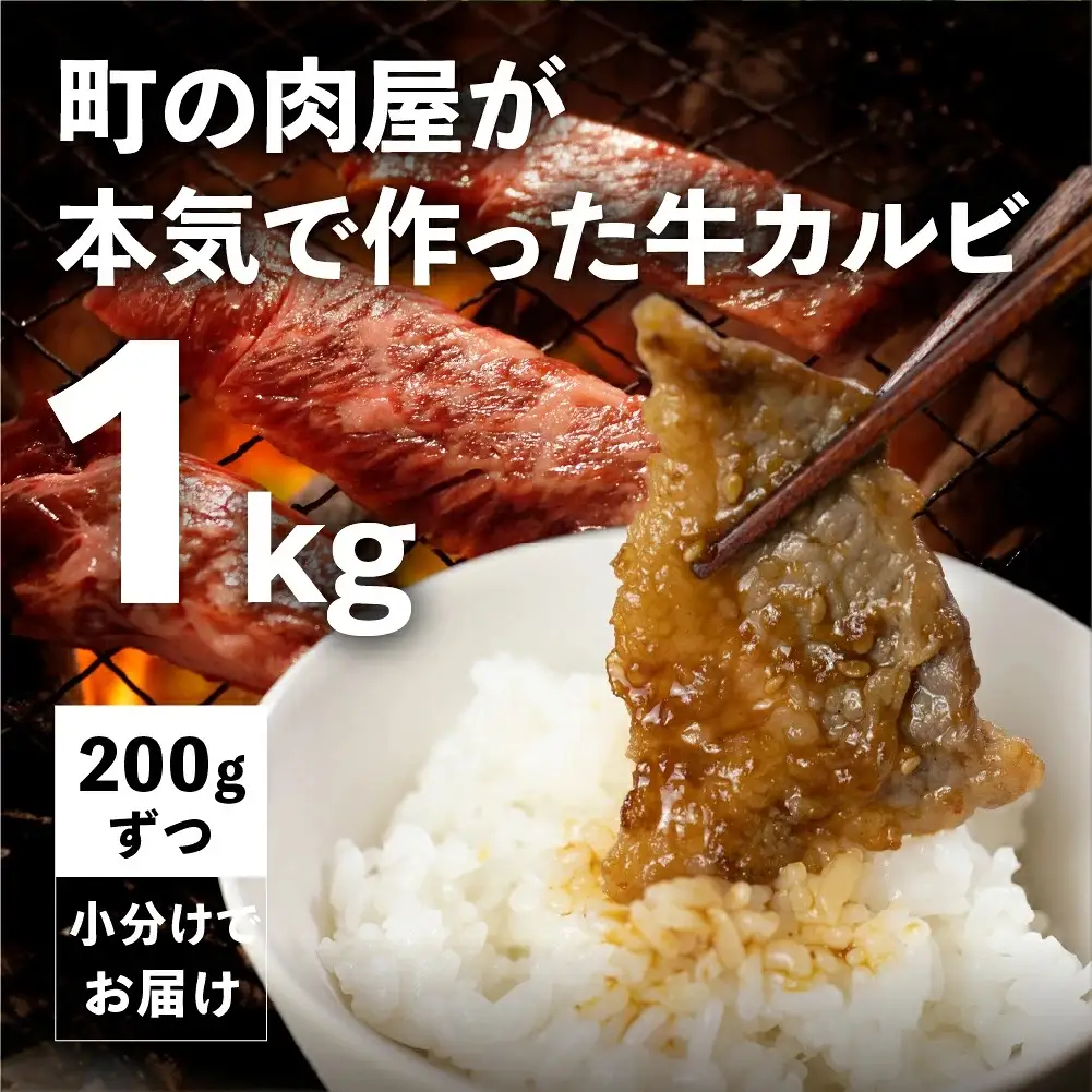焼肉&むきエビ 定期便12回 1.7kg 牛肉 えび
