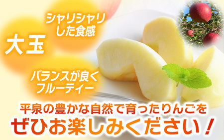 【11月中旬頃より順次発送】〈大玉！〉大文字りんご 大夢（おおゆめ）約5kg (10～12玉) 【2026年11月15日までの受付】【dma004-big】 
