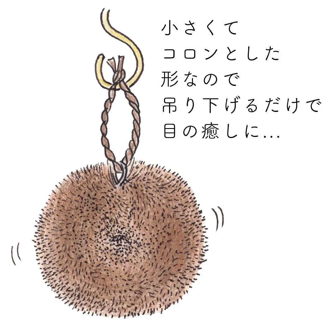 高田耕造商店 しゅろのやさしいたわし まる 小【2個セット】