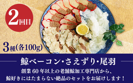 3回定期便 海の幸定期便 5万円 [DYZ021] 海鮮丼