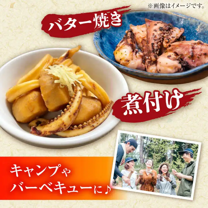 【2月-発送】【着日指定】【おいしい南島原 認定】漁港直送！ 活〆 幸イカ 5杯 約1500g / いか　新鮮　海鮮物　刺し身　揚げ物　簡単調理　キャンプ　BBQ / 南島原市 / 深江町漁業協同組合[SBO004]