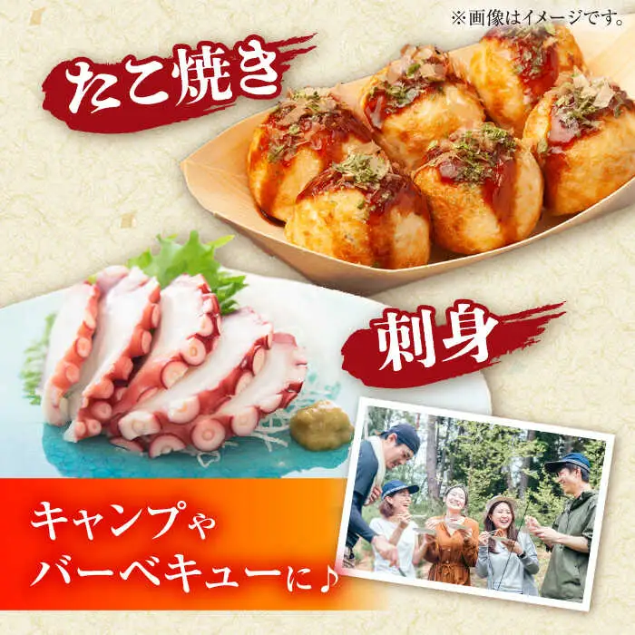 【着日指定】島原半島 はしり蛸(中たこ) 3杯　約2400g / タコ　新鮮　海鮮物　刺し身　揚げ物　酢物　キャンプ　BBQ / 南島原市 / 深江町漁業協同組合[SBO005]