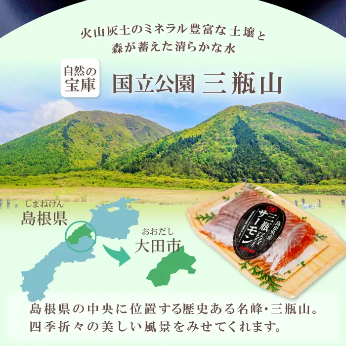 さんべサーモン 400g【サーモン 400g フィレ サーモントラウト ニジマス サーモン さけ シャケ しゃけ sake 生食用 刺身 お刺身 刺し身 魚介類 海鮮 冷凍 真空パック】