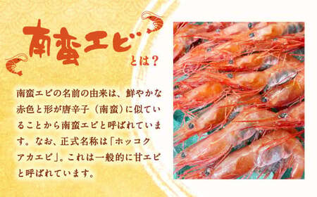 【11月頃発送予定】「南蛮エビ（甘エビ）」650g 新鮮！県北寝屋漁港直送！ 1043005 海老 えび 冷凍